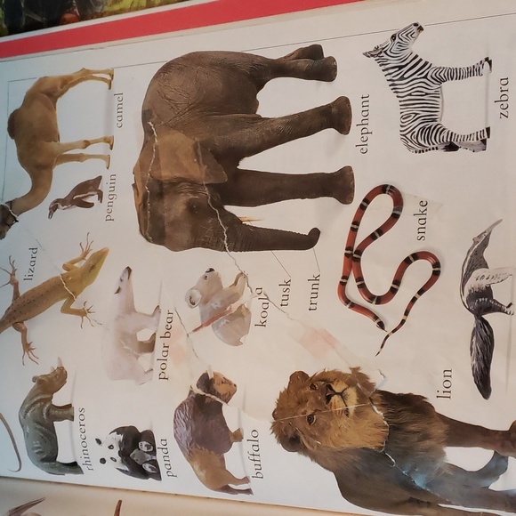 My first word books perfect for older baby and toddlers please read till the end - Picture 6 of 9